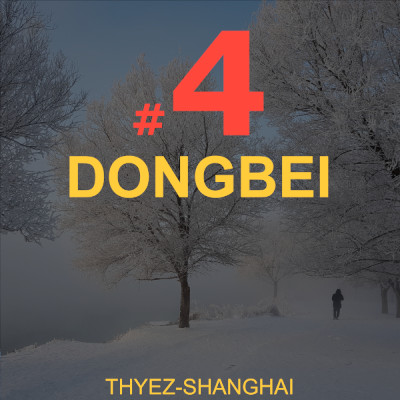 DONGBEI